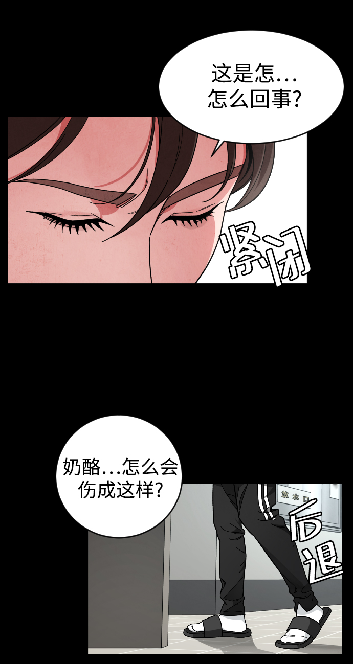普通孩子出国留学怎么选择国家漫画,[第22话] 奶酪4图