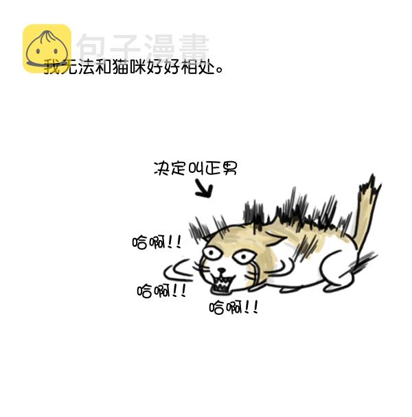 心灵的声音电视剧免费观看漫画,补充篇 [371话] 金正男 冈萨雷斯 格雷罗4图